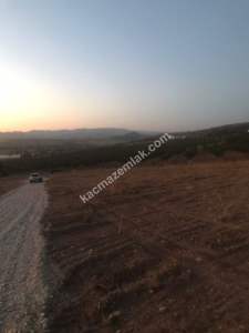 Satılık Bursa Yenişehir Günece 1000 M2 Tarla 10