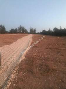 Satılık Bursa Yenişehir Günece 1000 M2 Tarla 7