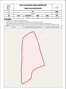 Satılık Bursa Yenişehir Günece 1000 M2 Tarla 3