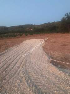 Satılık Bursa Yenişehir Günece 1000 M2 Tarla 9