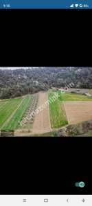 Bursa Yenişehir Kozdere Satılık 2 Adet Bitişik Tarla 4