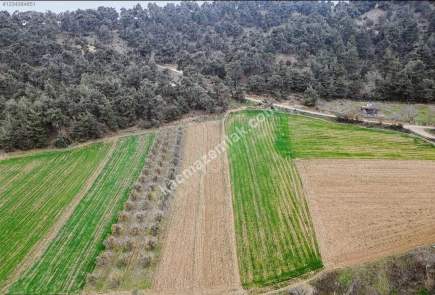 Bursa Yenişehir Kozdere Satılık 2 Adet Bitişik Tarla 3