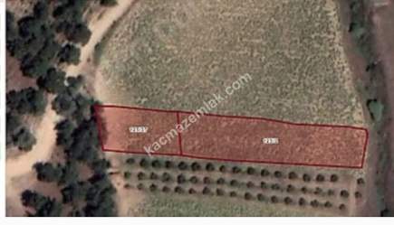 Bursa Yenişehir Kozdere Satılık 2 Adet Bitişik Tarla 5