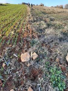 Yenişehir Papatya Köyü Satılık Tarla Arazi 3