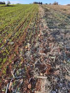 Yenişehir Papatya Köyü Satılık Tarla Arazi 1