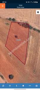 Yenişehir Papatya Köyü Satılık Tarla Arazi 2