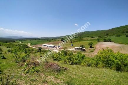 Yenişehir İlçe Süleymaniye Köy Mah Satılık Arazi Tarla 1
