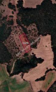 Bursa Yenişehir ' De Satılık 4.5 Dönüm Tarla 1