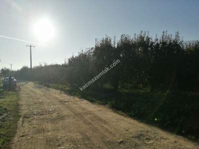 Bursa Yıldırım Samanlı Mh. 5130 M2 Satılık Tarla. 6