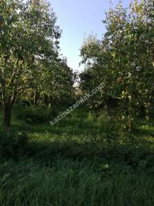 Bursa Yıldırım Samanlı Mh. 5130 M2 Satılık Tarla. 7