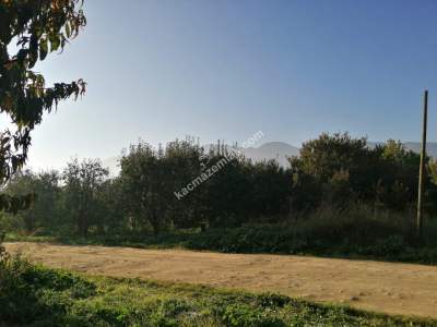 Bursa Yıldırım Samanlı Mh. 5130 M2 Satılık Tarla. 5