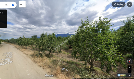 Bursa Yıldırım Samanlı Mh. 5130 M2 Satılık Tarla. 11