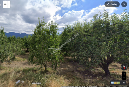 Bursa Yıldırım Samanlı Mh. 5130 M2 Satılık Tarla. 10