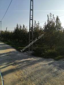 Bursa Yıldırım Samanlı Da Satılık 3050 M2 Tarla 10