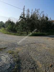 Bursa Yıldırım Samanlı Da Satılık 3050 M2 Tarla 5