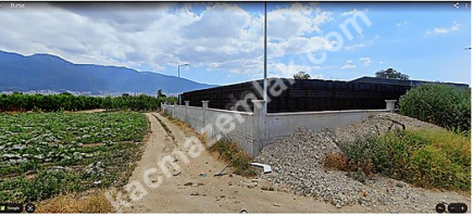 Bursa Yıldırım Samanlı Satılık Tarla 8385 M2 4