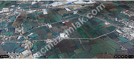 Bursa Yıldırım Samanlı Satılık Tarla 8385 M2 2