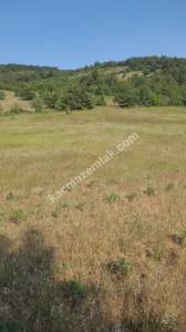 Çanakkale Bayramiç Kaz Dağları Satılık Lavanta Bahçesi 6