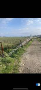 Çanakkale Biga Akköprü Satılık Tarla 4645M2 2