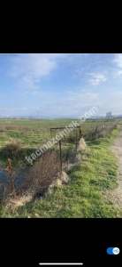 Çanakkale Biga Akköprü Satılık Tarla 4645M2 5