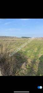 Çanakkale Biga Akköprü Satılık Tarla 4645M2 3