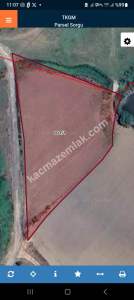 Çanakkale Biga Akköprü Satılık Tarla 4645M2 7