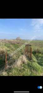 Çanakkale Biga Akköprü Satılık Tarla 4645M2 4