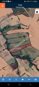 Çanakkale Biga Koruoba Köyü Satılık Tarla 5.7 Dönüm 3