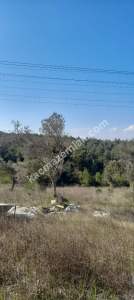 Eceabat Bigalı Köyünde Orman İçinde Çiftlik İçin Uygun 4