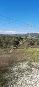 Eceabat Bigalı Köyünde Orman İçinde Çiftlik İçin Uygun 3