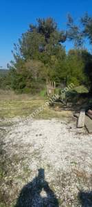 Eceabat Bigalı Köyünde Orman İçinde Çiftlik İçin Uygun 2