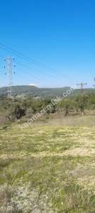 Eceabat Bigalı Köyünde Orman İçinde Çiftlik İçin Uygun 1