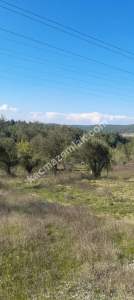 Eceabat Bigalı Köyünde Orman İçinde Çiftlik İçin Uygun 6