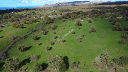 Çanakkale Ezine Yaylacık Köyünde Yatrımlık Tarla 7