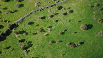 Çanakkale Ezine Yaylacık Köyünde Yatrımlık Tarla 3