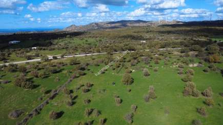 Çanakkale Ezine Yaylacık Köyünde Yatrımlık Tarla 10