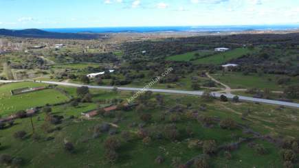 Çanakkale Ezine Yaylacık Köyünde Yatrımlık Tarla 2