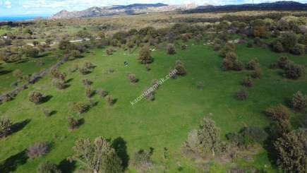 Çanakkale Ezine Yaylacık Köyünde Yatrımlık Tarla 6