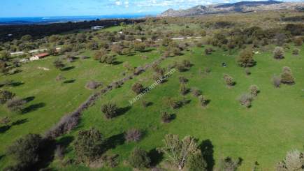 Çanakkale Ezine Yaylacık Köyünde Yatrımlık Tarla 8