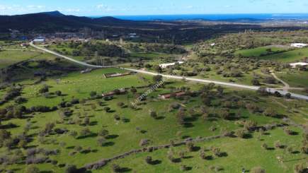 Çanakkale Ezine Yaylacık Köyünde Yatrımlık Tarla 5