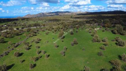 Çanakkale Ezine Yaylacık Köyünde Yatrımlık Tarla 9