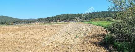 Çanakkale Gelibolu Adilhan Köyünde Satılık Tarla 17