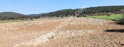 Çanakkale Gelibolu Adilhan Köyünde Satılık Tarla 18