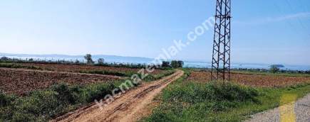 Çanakkale Gelibolu Adilhan Köyünde Satılık Tarla 15