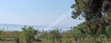 Çanakkale Gelibolu Adilhan Köyünde Satılık Tarla 2