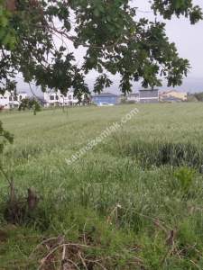 Çanakkale Gelibolu Adilhan Köyünde Satılık Fırsat Tarla 4