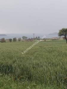 Çanakkale Gelibolu Adilhan Köyünde Satılık Fırsat Tarla 5