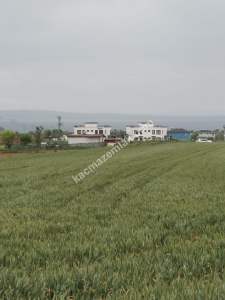 Çanakkale Gelibolu Adilhan Köyünde Satılık Fırsat Tarla 11