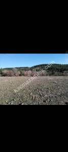 Gelibolu Bayırköy De Denız Manzarali Çiftliğe Uygun