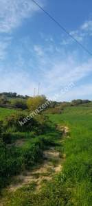 Gelibolu Bayırköy De Denız Manzarali Çiftliğe Uygun 4